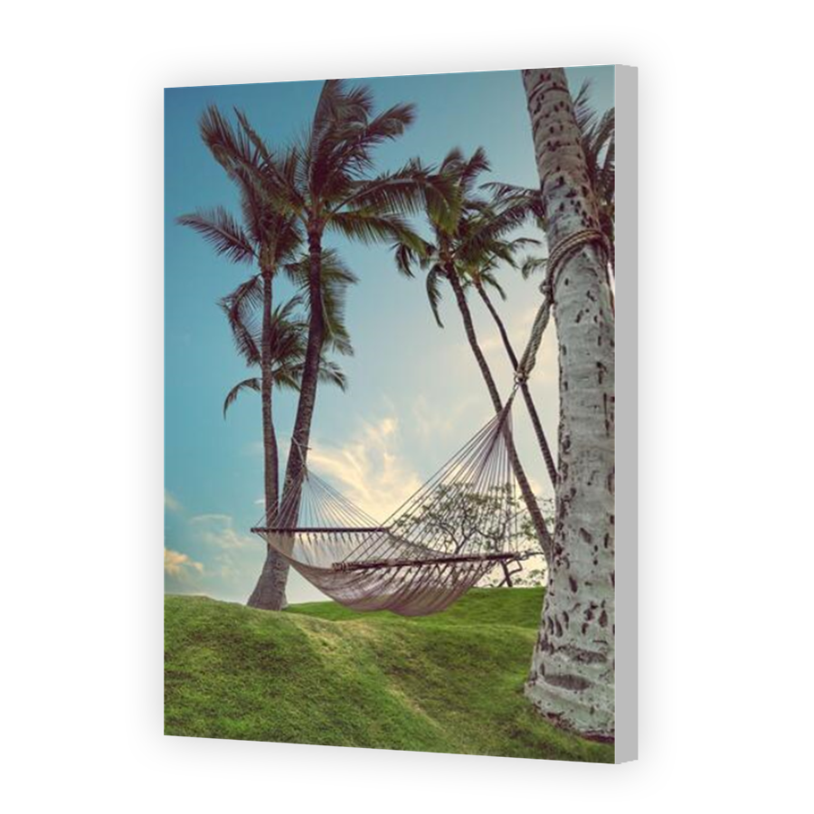 Thumbnail for Canvas - Coloured Canvas Wrap