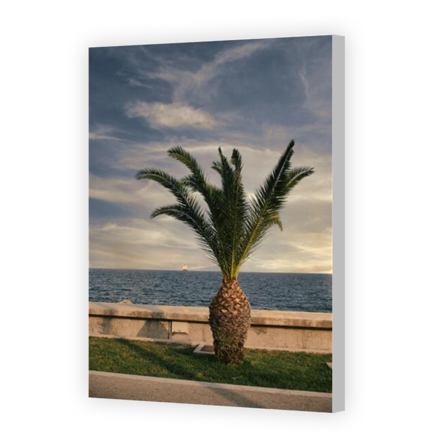 Thumbnail for Canvas - Coloured Canvas Wrap