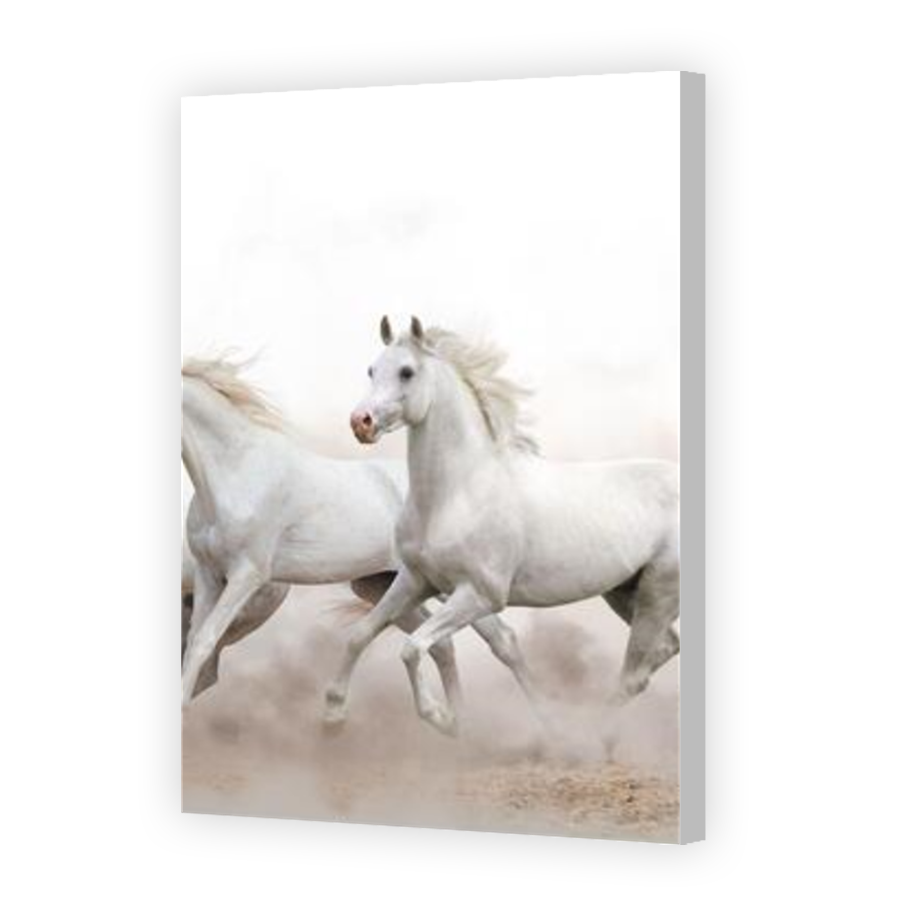 Thumbnail for Canvas - Coloured Canvas Wrap