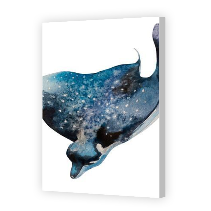 Thumbnail for Canvas - Coloured Canvas Wrap