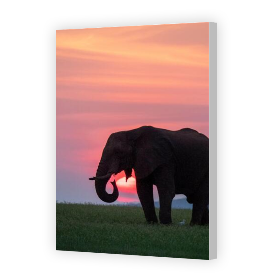 Thumbnail for Canvas - Coloured Canvas Wrap