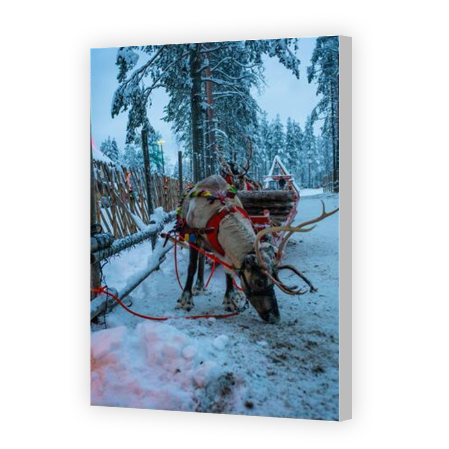 Thumbnail for Canvas - Coloured Canvas Wrap