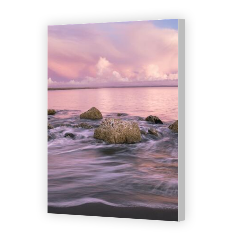 Thumbnail for Canvas - Coloured Canvas Wrap