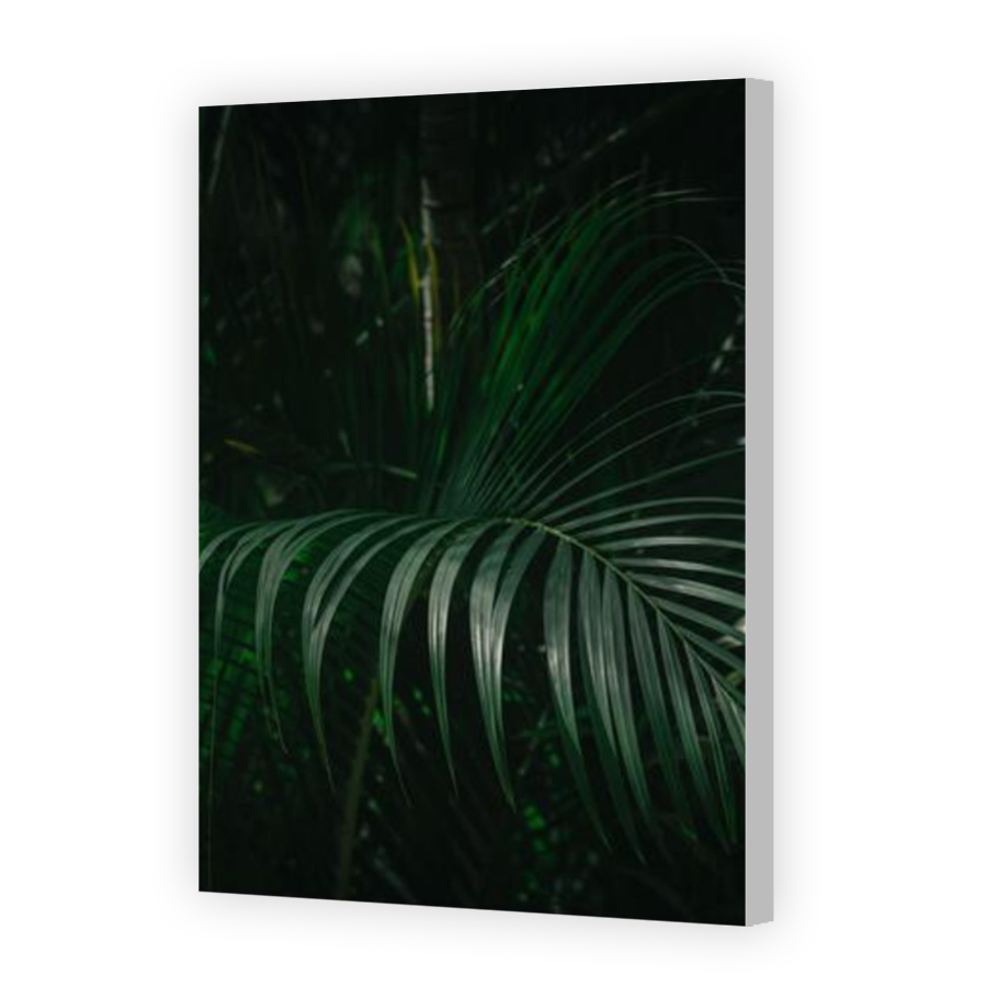 Thumbnail for Canvas - Coloured Canvas Wrap
