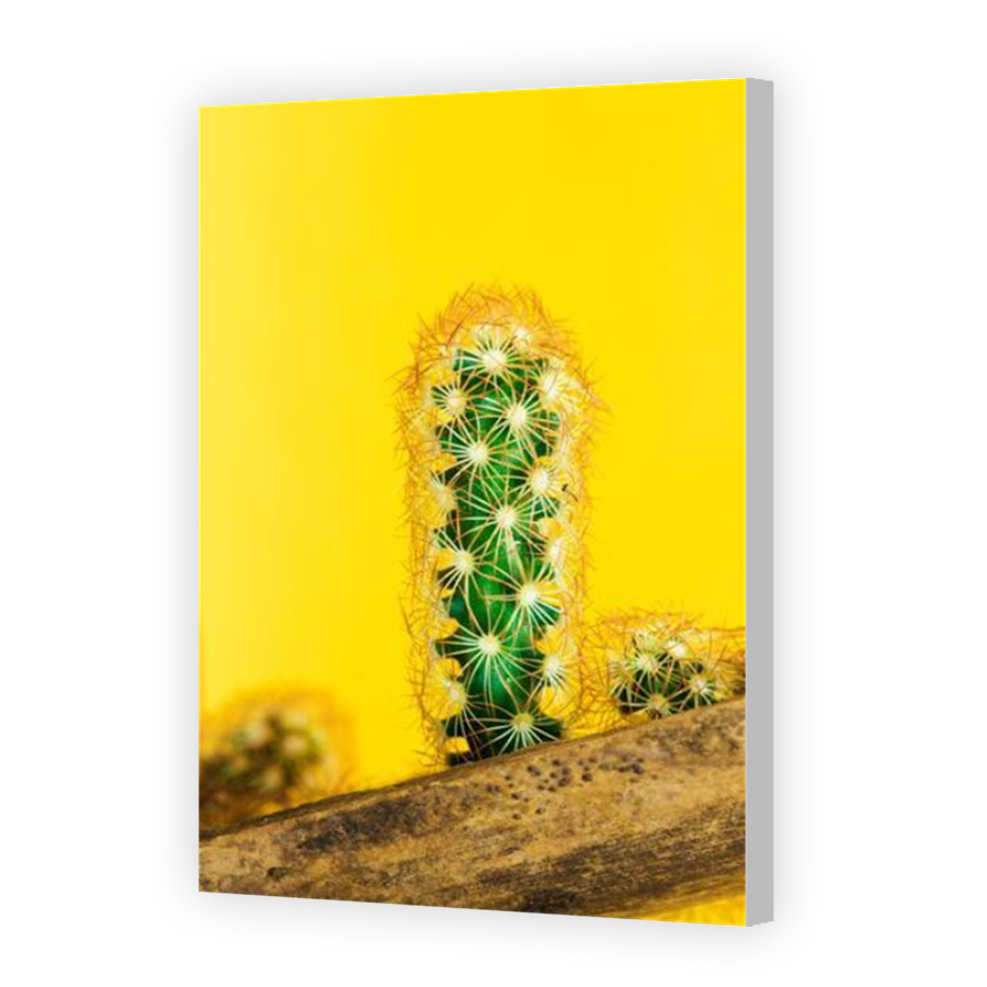 Thumbnail for Canvas - Coloured Canvas Wrap