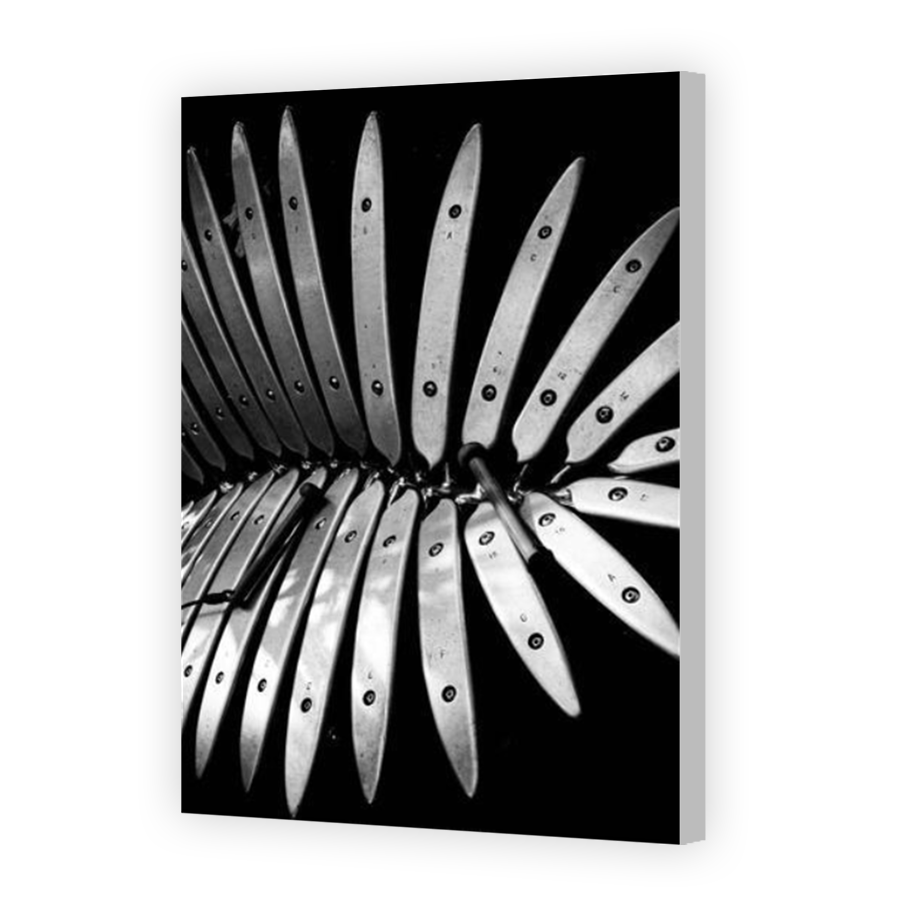 Thumbnail for Canvas - Coloured Canvas Wrap