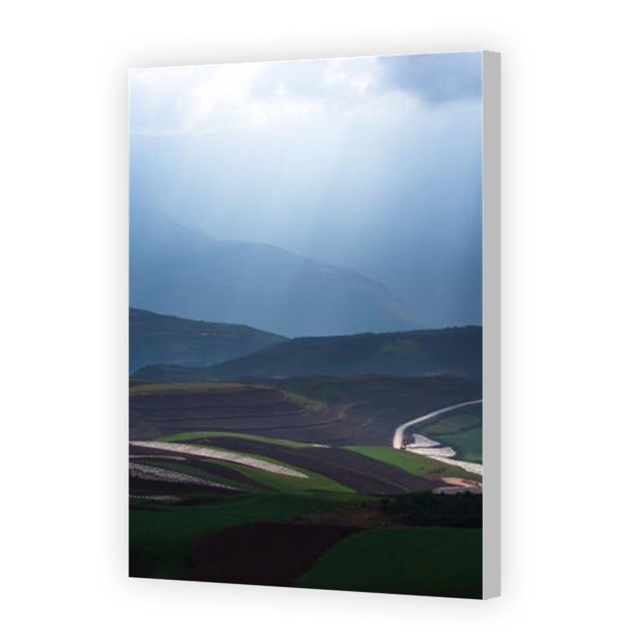Thumbnail for Canvas - Coloured Canvas Wrap
