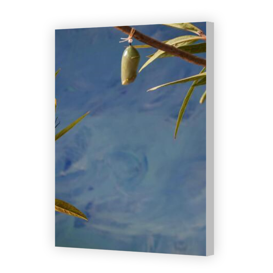 Thumbnail for Canvas - Coloured Canvas Wrap