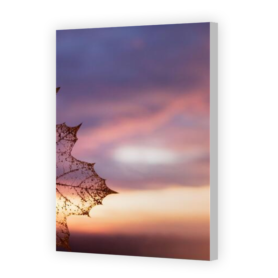 Thumbnail for Canvas - Coloured Canvas Wrap