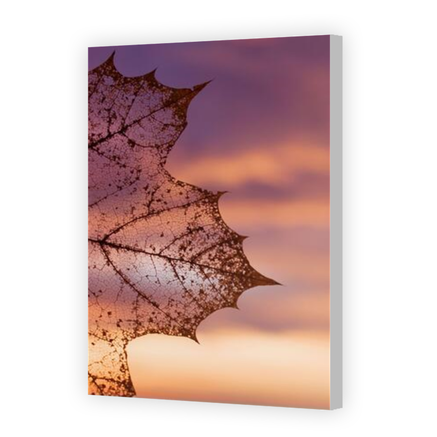Thumbnail for Canvas - Coloured Canvas Wrap