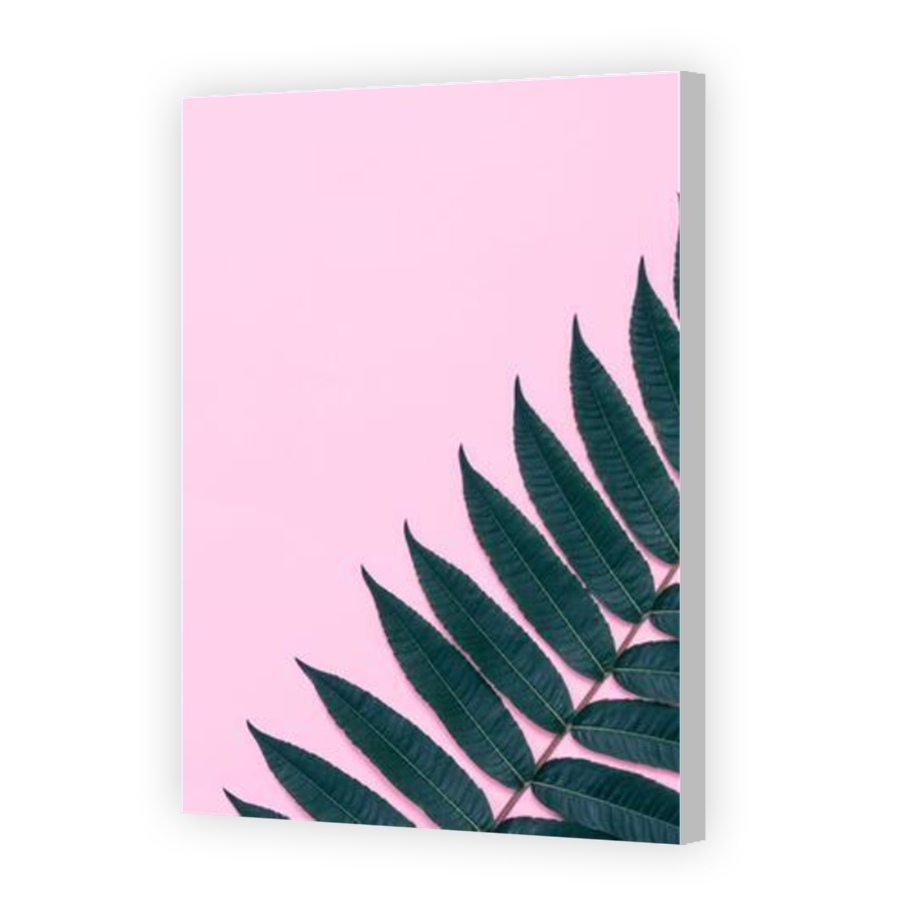 Thumbnail for Canvas - Coloured Canvas Wrap
