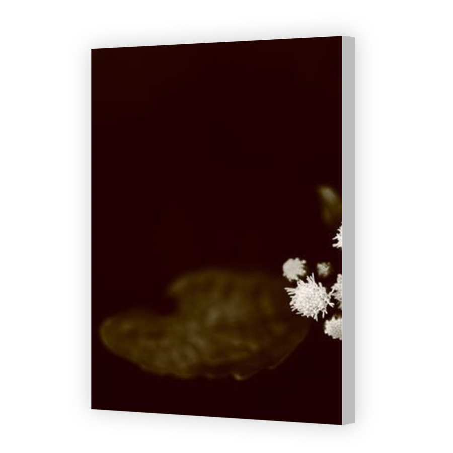 Thumbnail for Canvas - Coloured Canvas Wrap