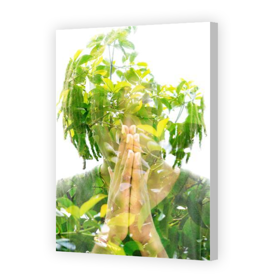 Thumbnail for Canvas - Coloured Canvas Wrap