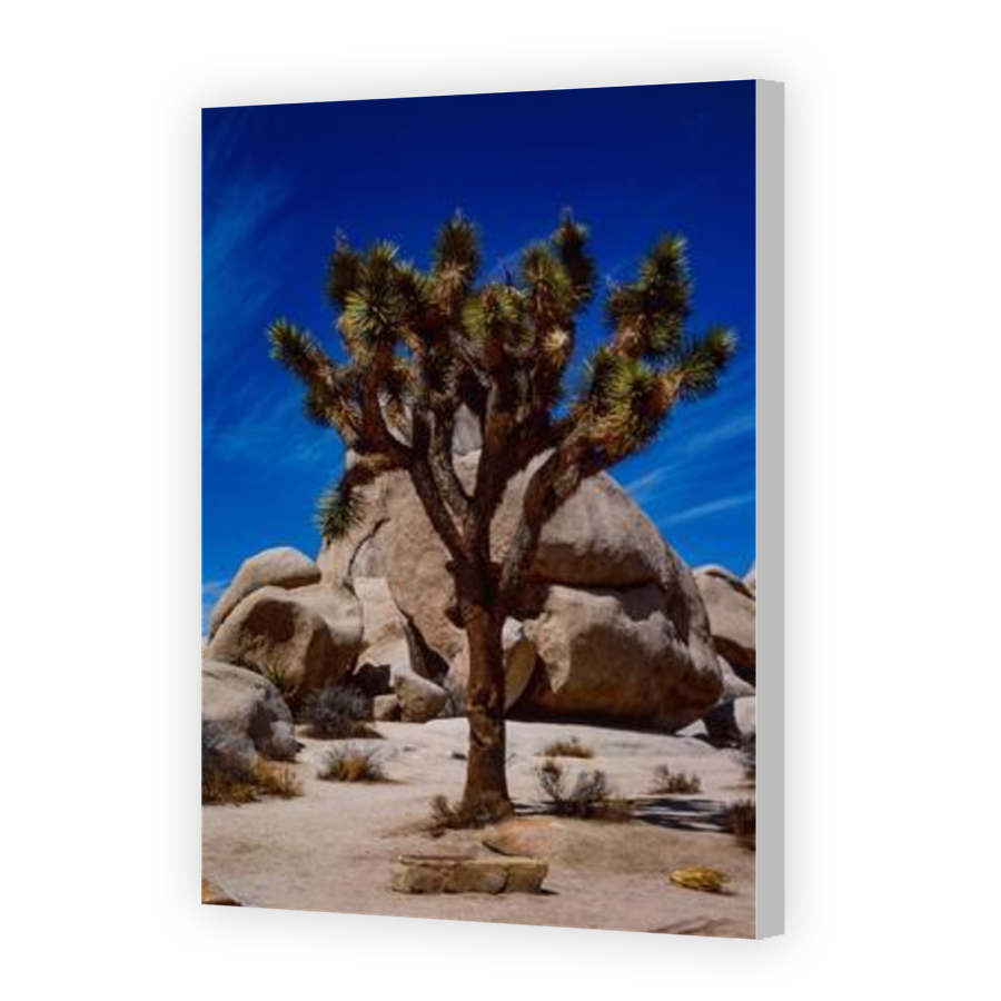 Thumbnail for Canvas - Coloured Canvas Wrap