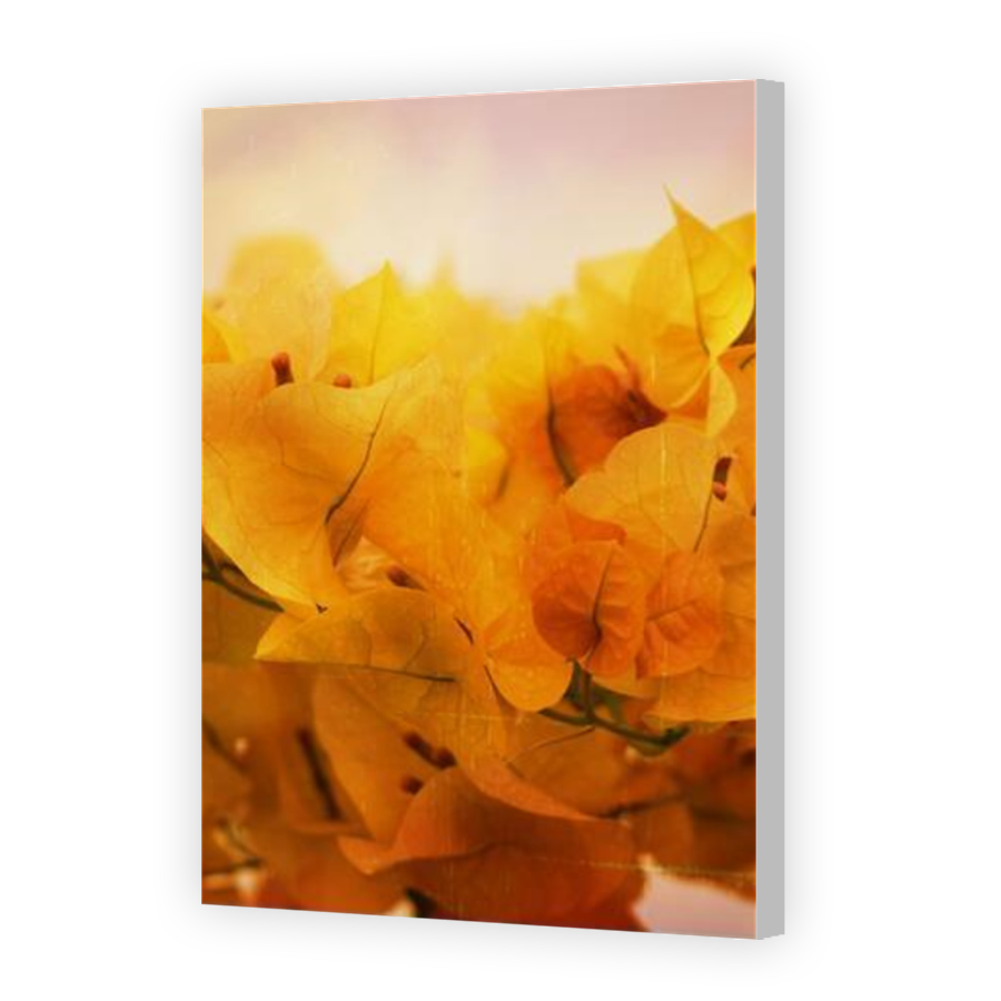 Thumbnail for Canvas - Coloured Canvas Wrap