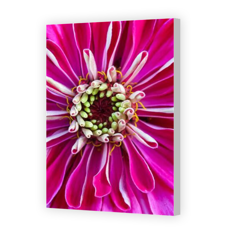 Thumbnail for Canvas - Coloured Canvas Wrap