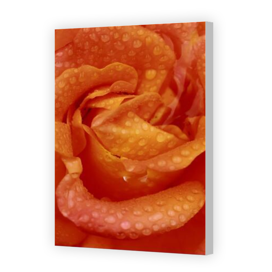 Thumbnail for Canvas - Coloured Canvas Wrap