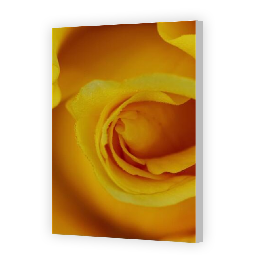Thumbnail for Canvas - Coloured Canvas Wrap