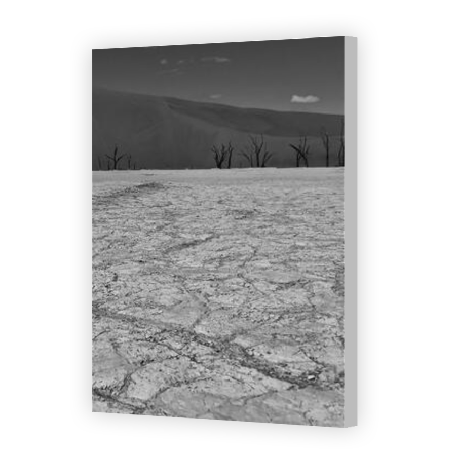 Thumbnail for Canvas - Coloured Canvas Wrap