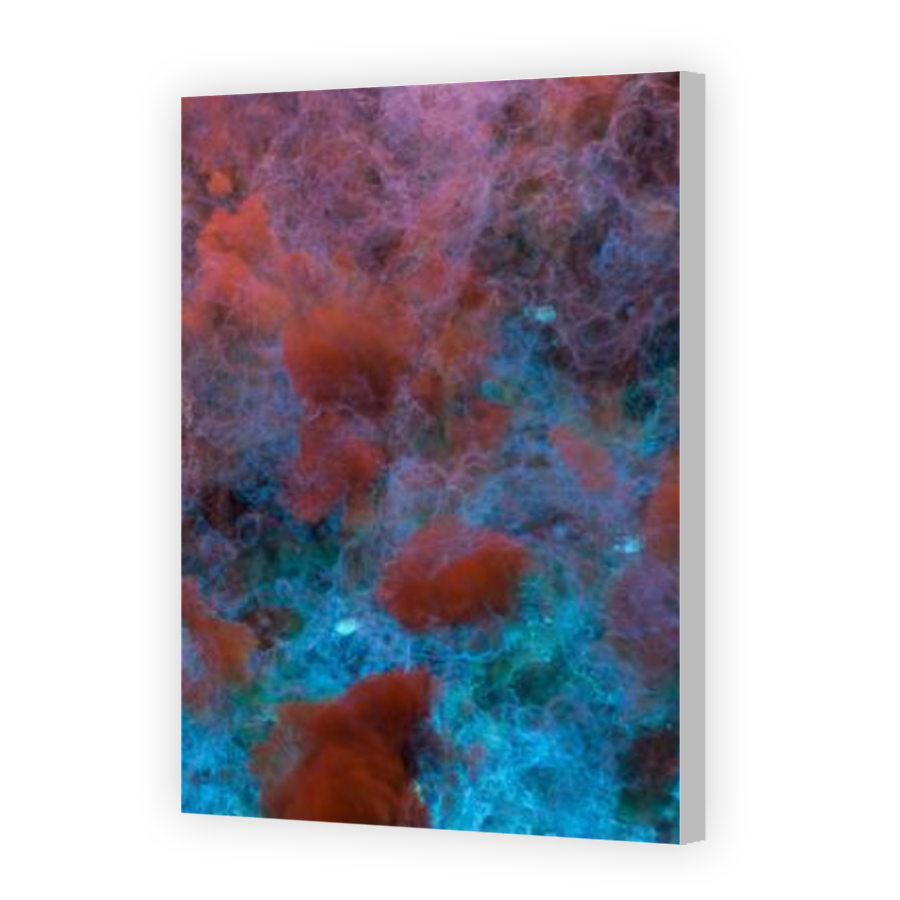 Thumbnail for Canvas - Coloured Canvas Wrap