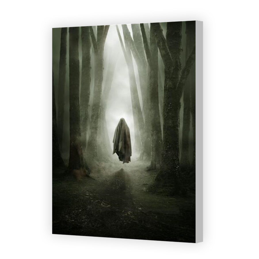 Thumbnail for Canvas - Coloured Canvas Wrap