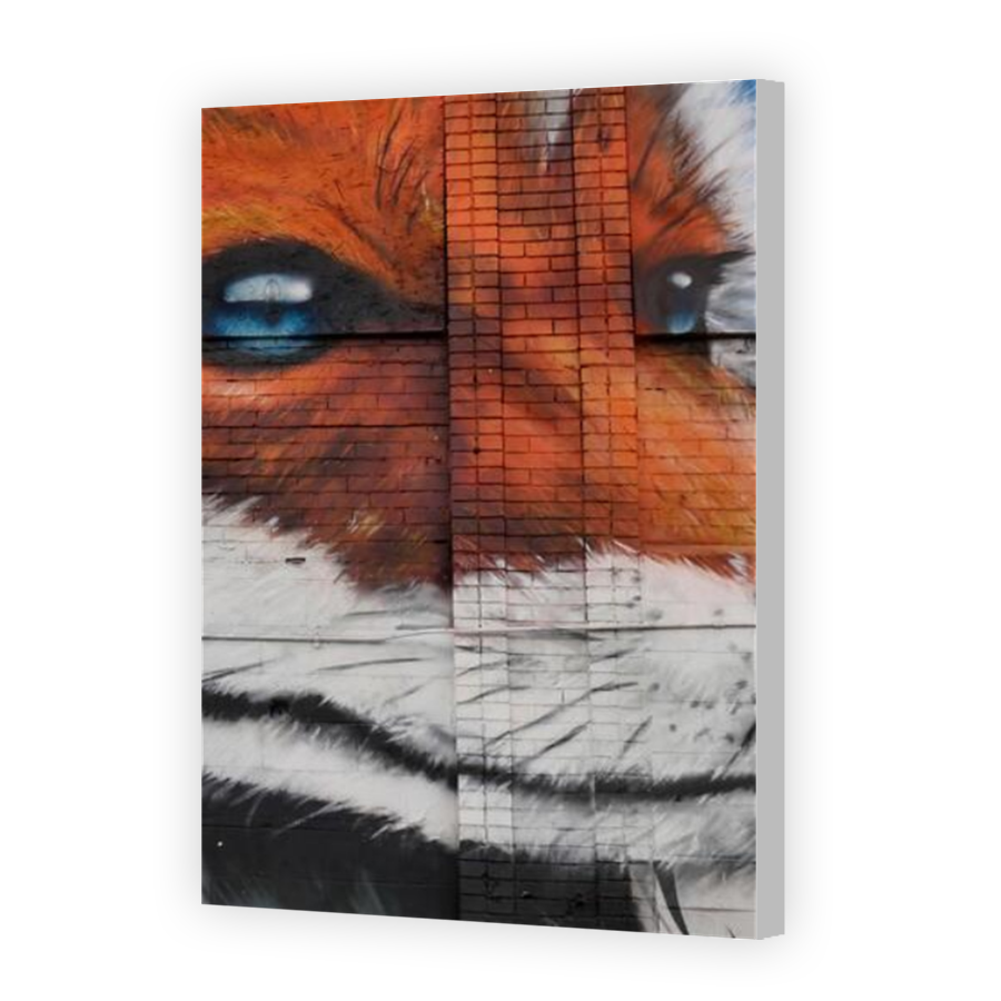 Thumbnail for Canvas - Coloured Canvas Wrap