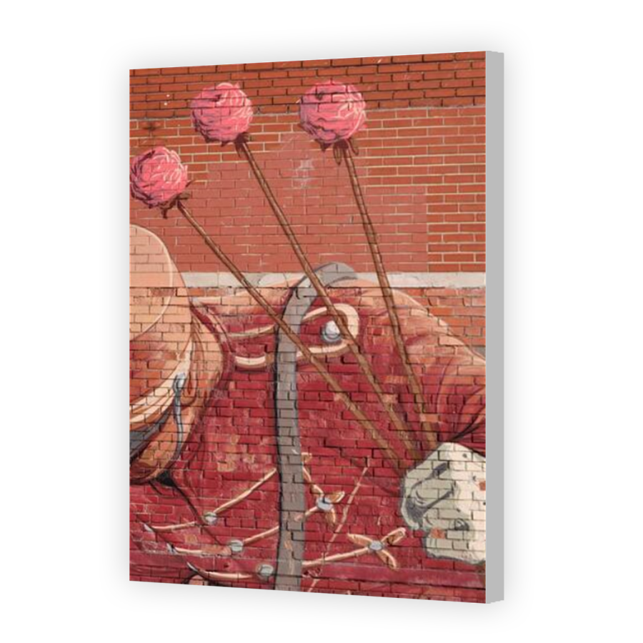 Thumbnail for Canvas - Coloured Canvas Wrap