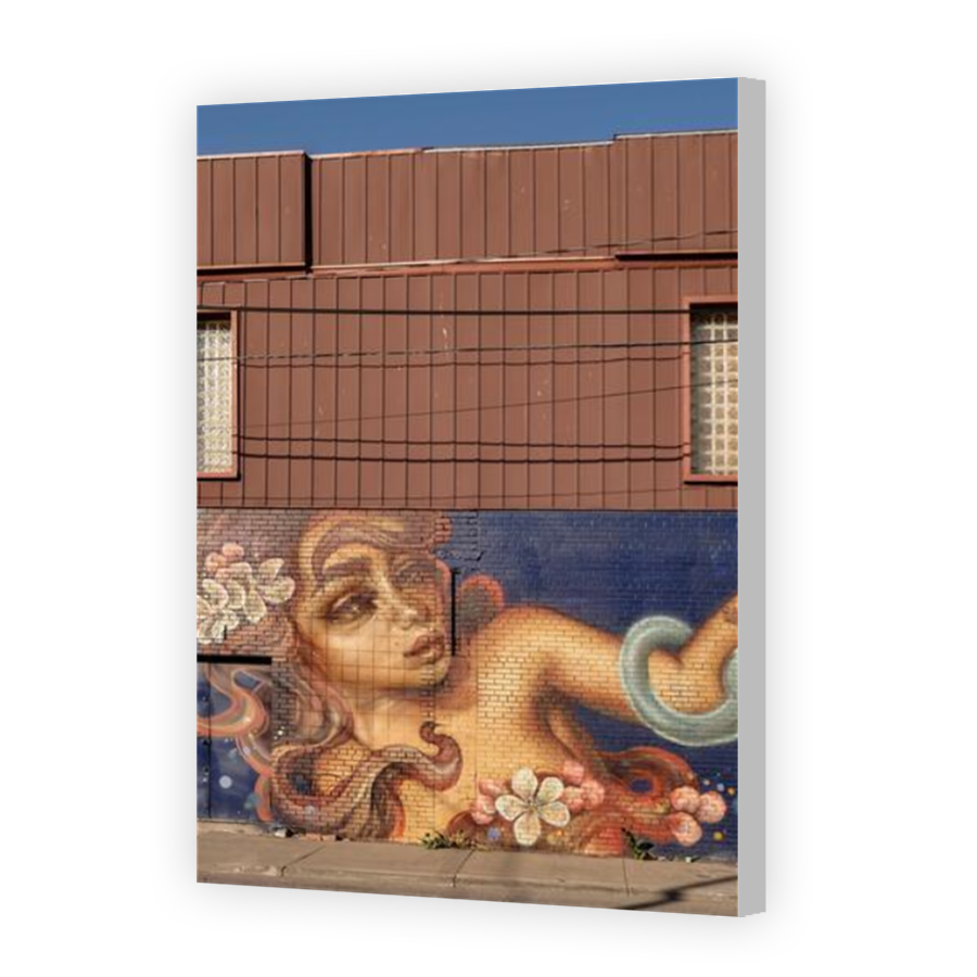 Thumbnail for Canvas - Coloured Canvas Wrap