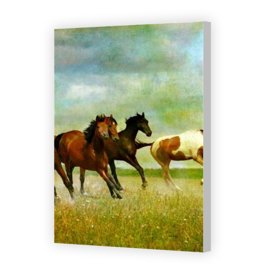 Thumbnail for Canvas - Coloured Canvas Wrap