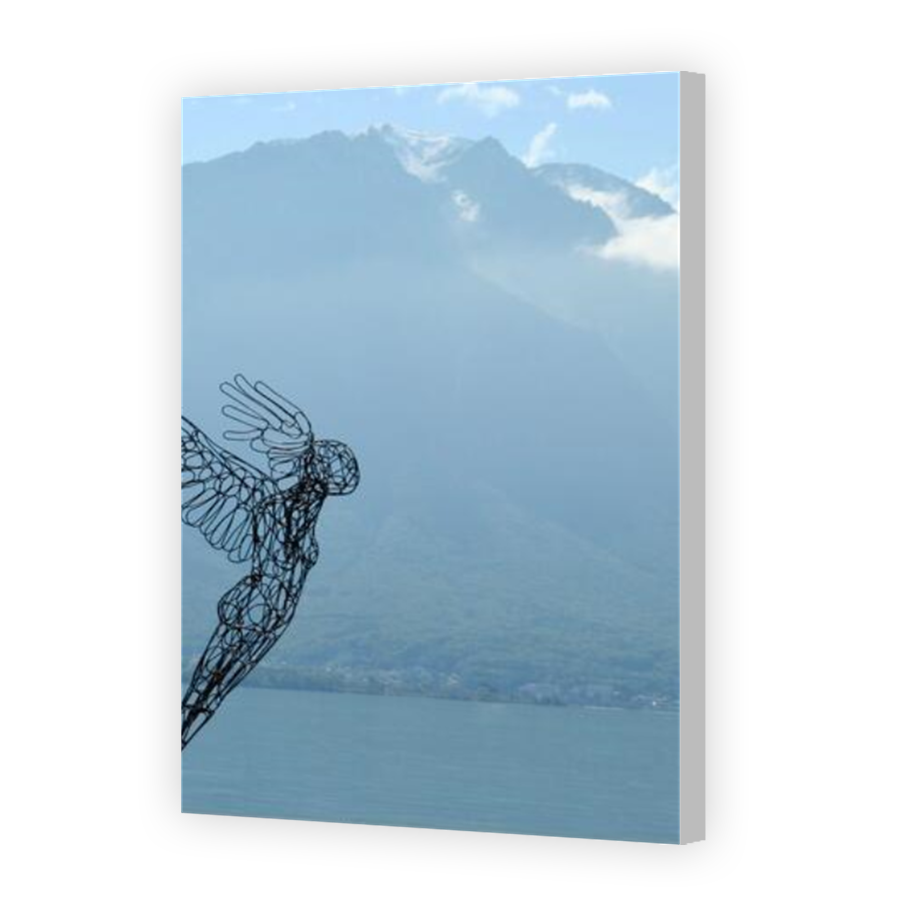 Thumbnail for Canvas - Coloured Canvas Wrap