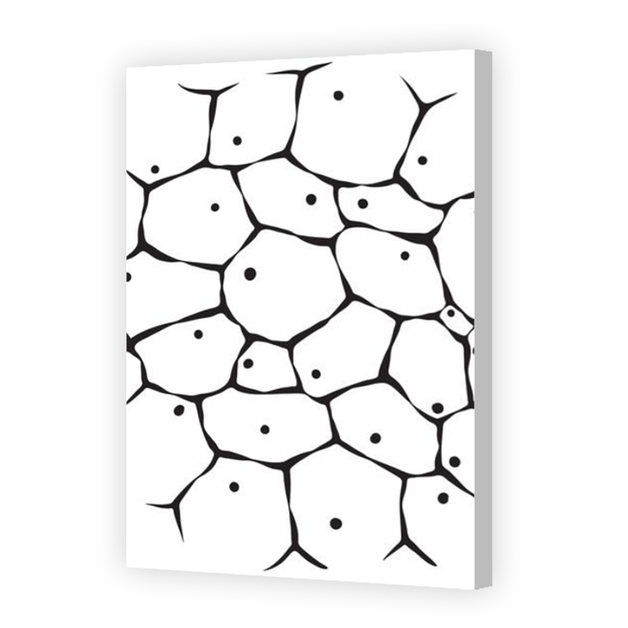 Thumbnail for Canvas - Coloured Canvas Wrap