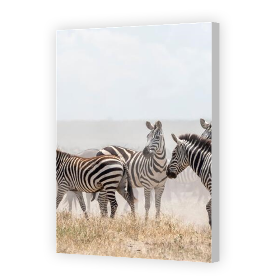 Thumbnail for Canvas - Coloured Canvas Wrap