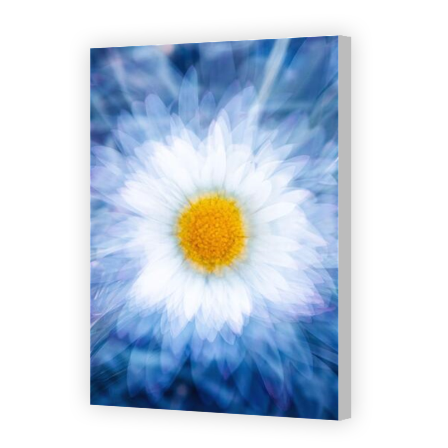 Thumbnail for Canvas - Coloured Canvas Wrap