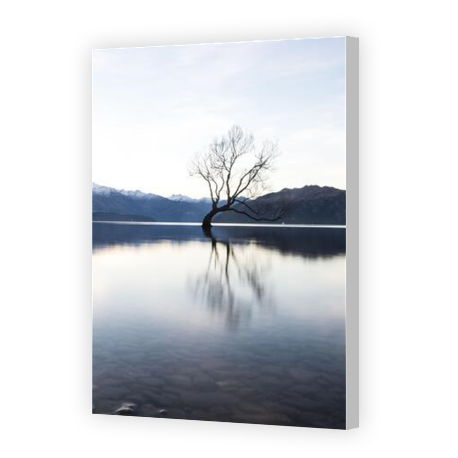 Thumbnail for Canvas - Coloured Canvas Wrap