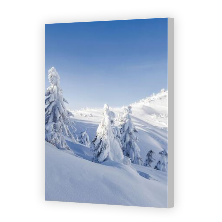Thumbnail for Canvas - Coloured Canvas Wrap