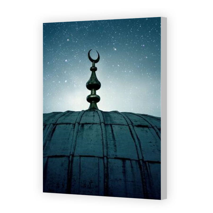 Thumbnail for Canvas - Coloured Canvas Wrap