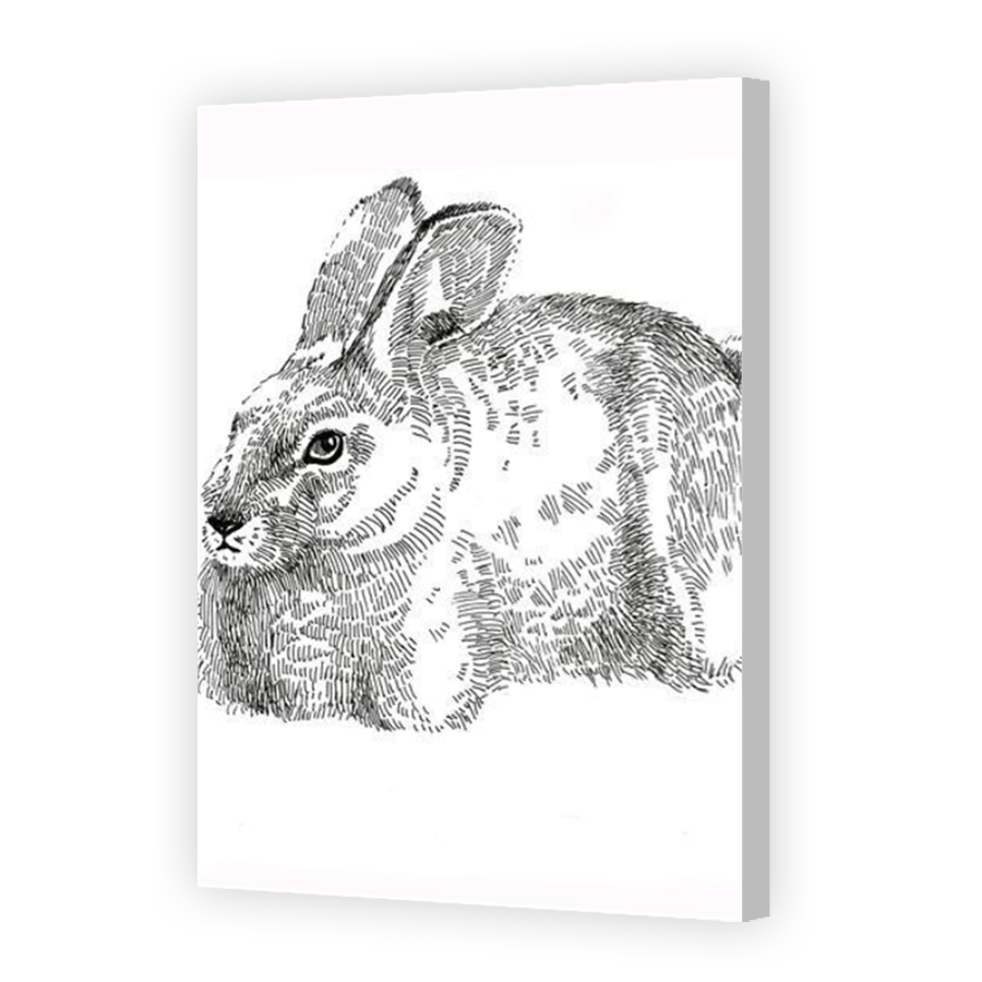 Thumbnail for Canvas - Coloured Canvas Wrap