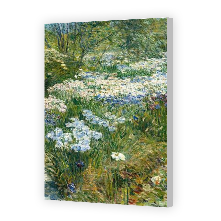 Thumbnail for Canvas - Coloured Canvas Wrap