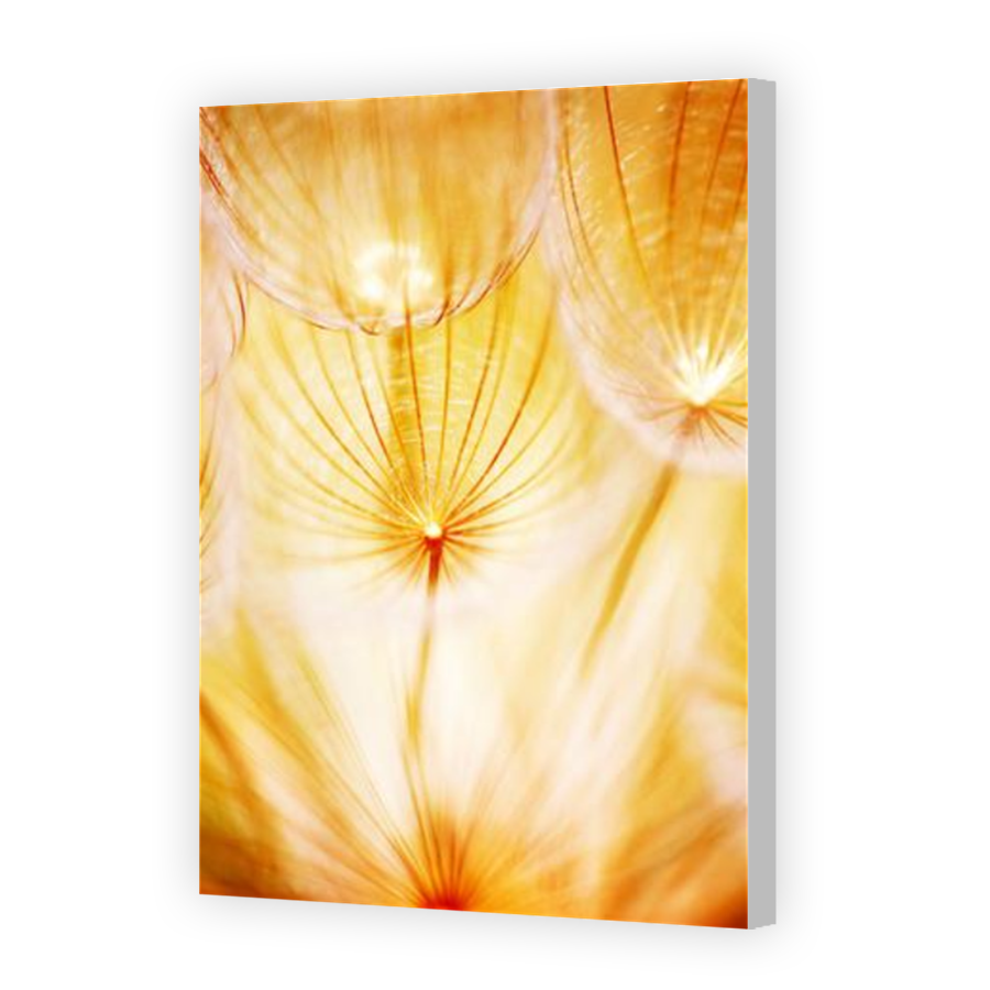 Thumbnail for Canvas - Coloured Canvas Wrap