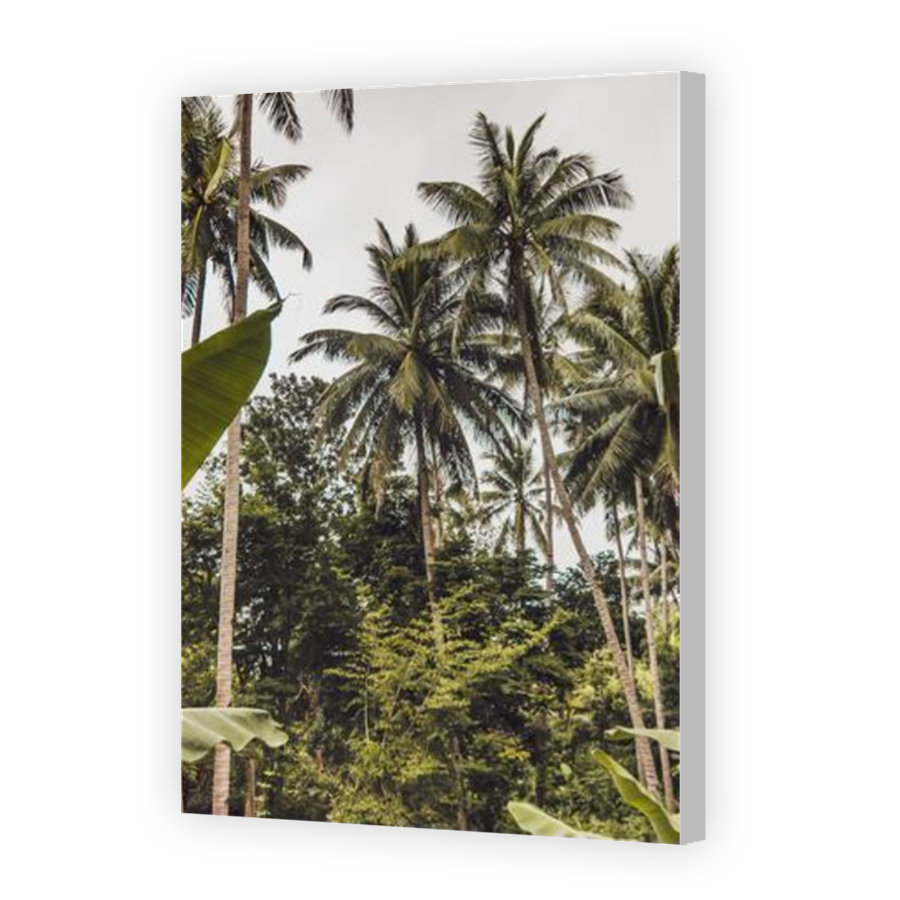 Thumbnail for Canvas - Coloured Canvas Wrap