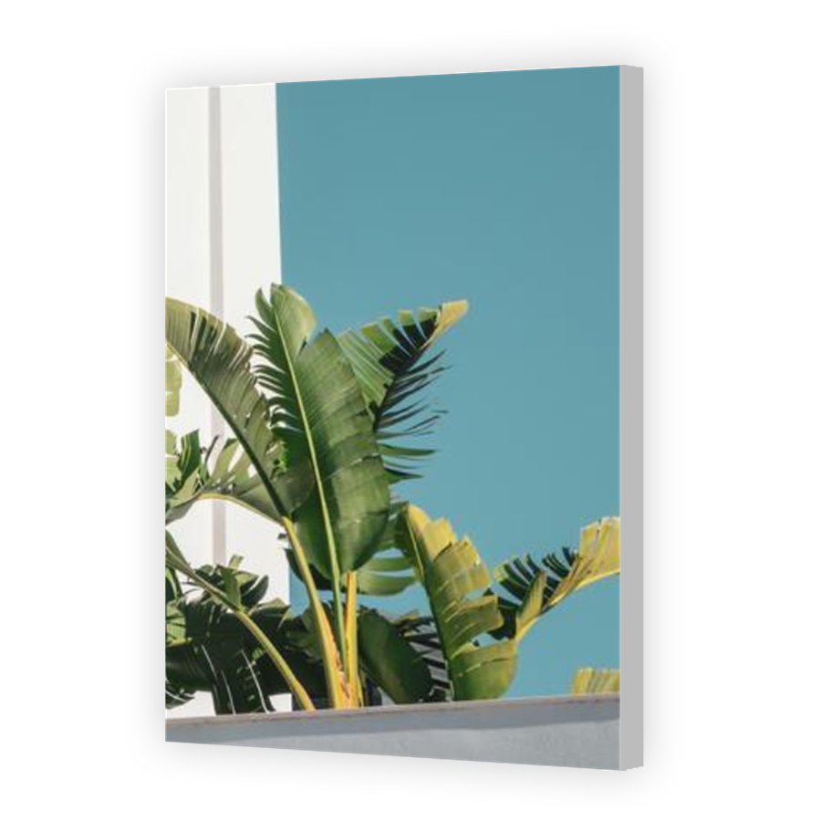 Thumbnail for Canvas - Coloured Canvas Wrap
