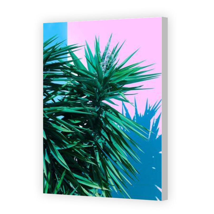 Thumbnail for Canvas - Coloured Canvas Wrap