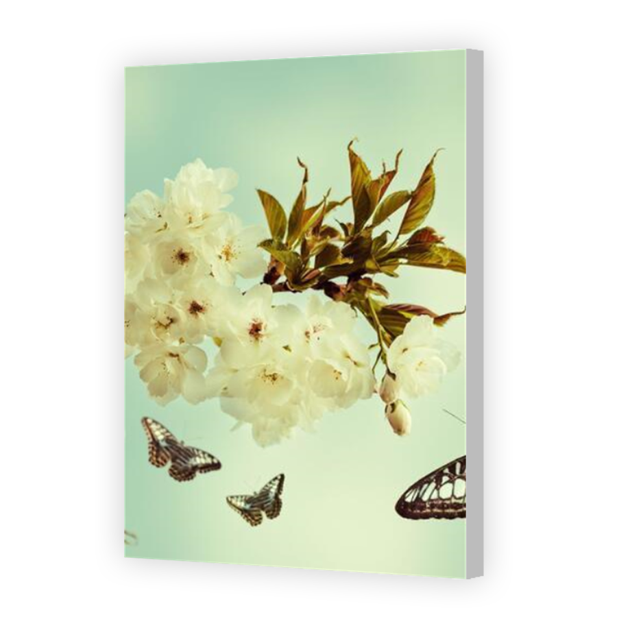 Thumbnail for Canvas - Coloured Canvas Wrap