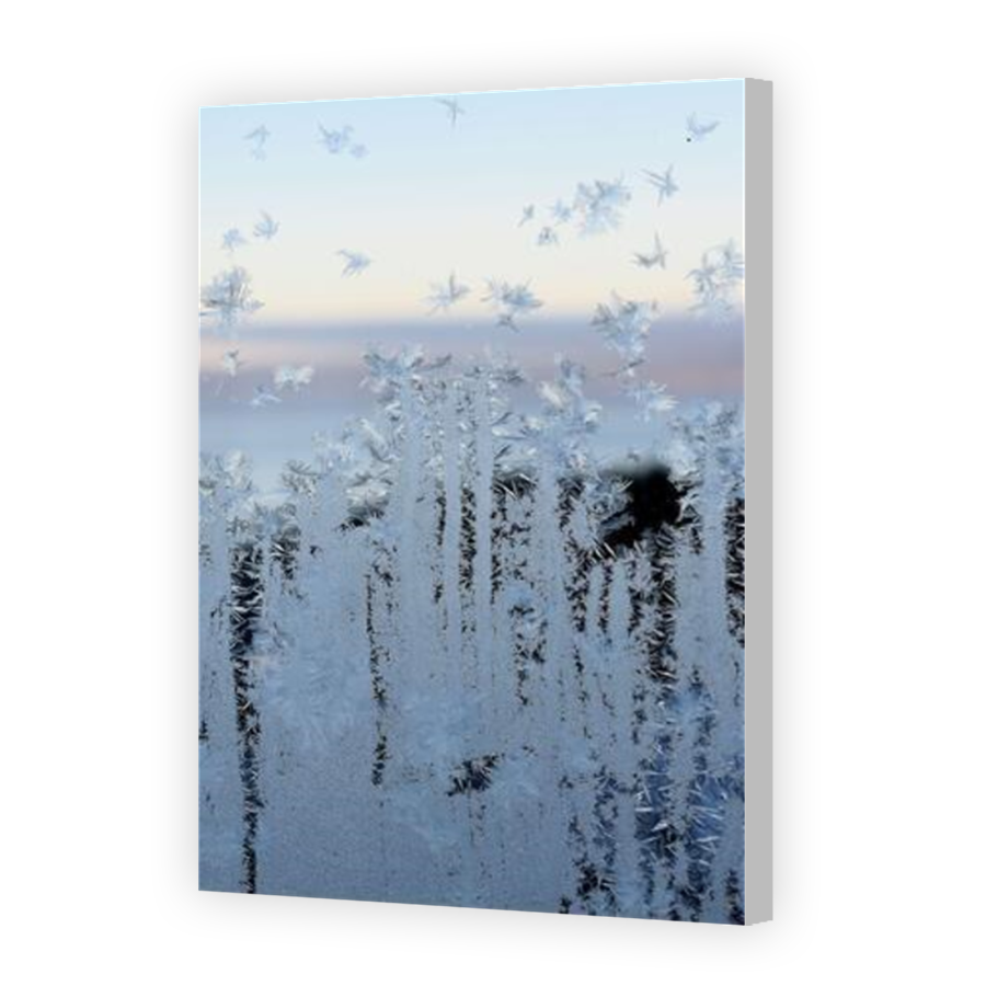 Thumbnail for Canvas - Coloured Canvas Wrap