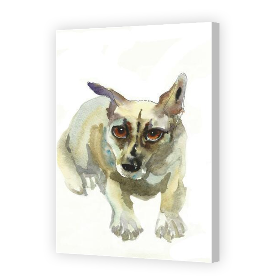 Thumbnail for Canvas - Coloured Canvas Wrap