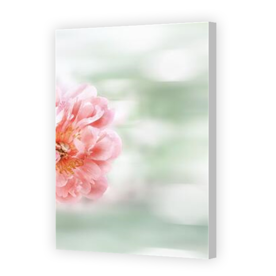 Thumbnail for Canvas - Coloured Canvas Wrap
