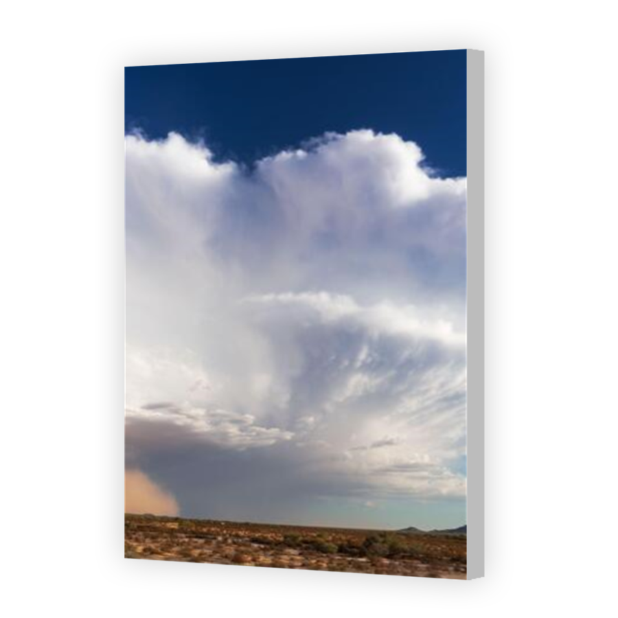 Thumbnail for Canvas - Coloured Canvas Wrap
