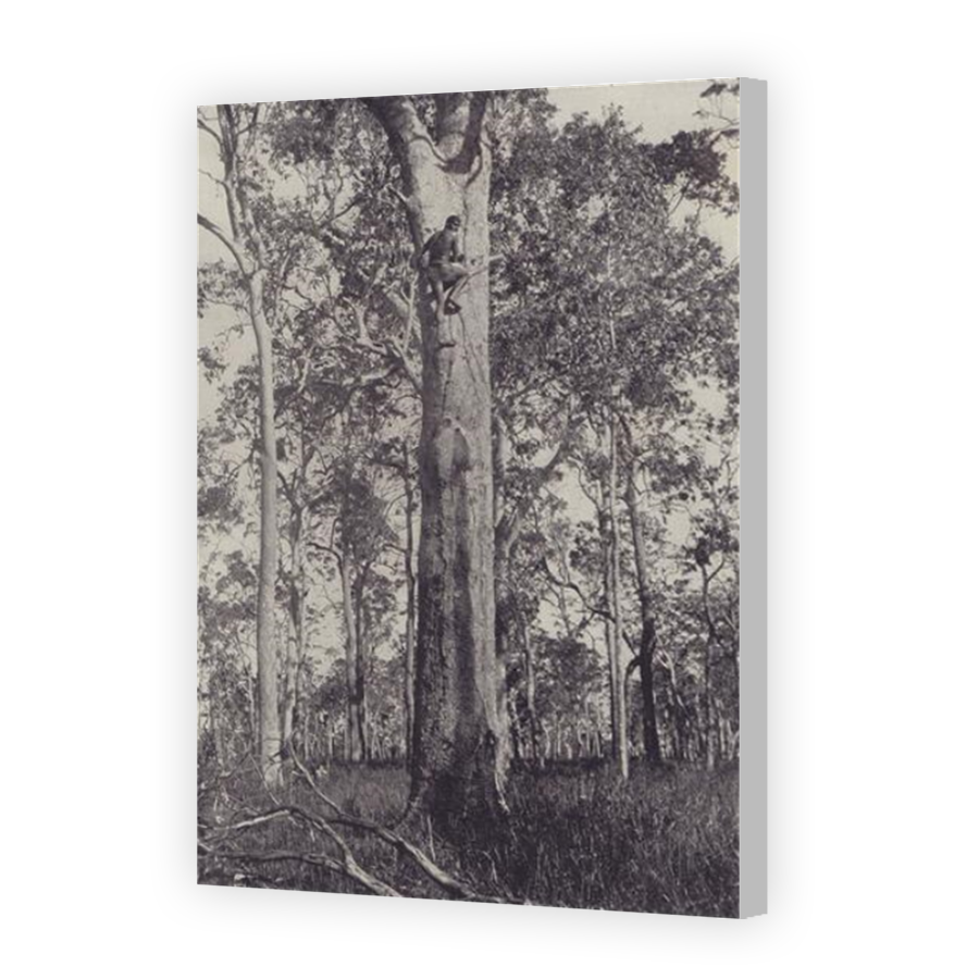 Thumbnail for Canvas - Coloured Canvas Wrap