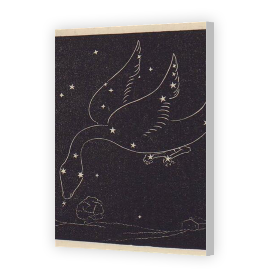Thumbnail for Canvas - Coloured Canvas Wrap