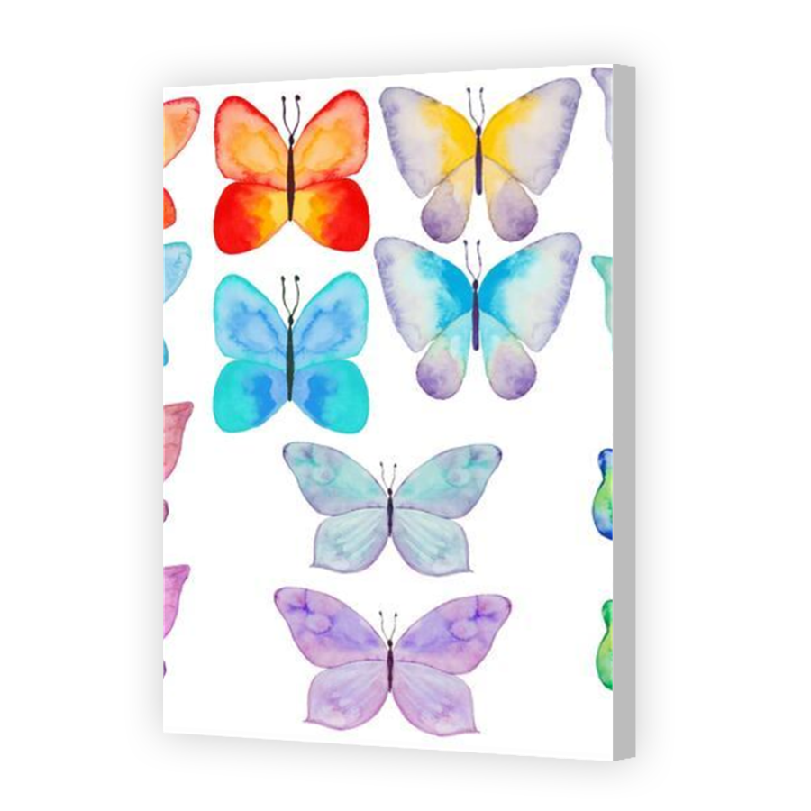 Thumbnail for Canvas - Coloured Canvas Wrap